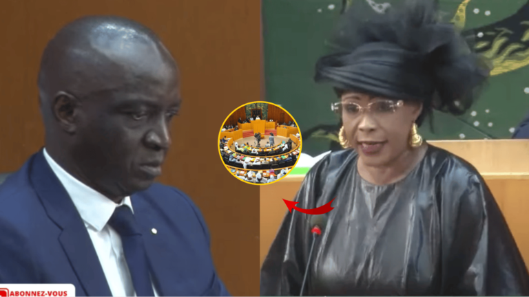 Vidéo – Violation du règlement intérieur de l’AN: Mama Diarra Fam hausse le ton devant le ministre
