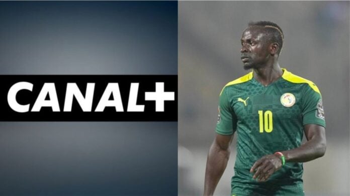 Coupe du monde 2022: Canal + Afrique annonce une très bonne nouvelle à ses abonnés