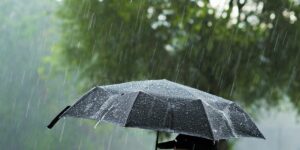 pluie Jallale.net L'actualité en direct, où que vous soyez