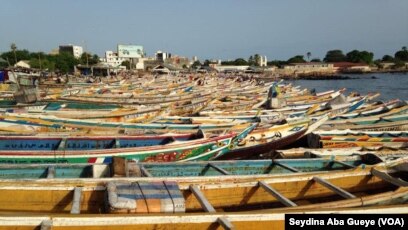 Espagne: Les pirogues sénégalaises vides s’accumulent au port de Restinga. Regardez !
