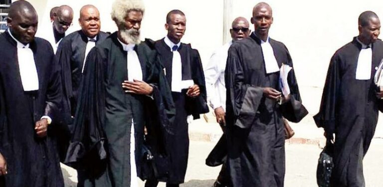Le collectif des avocats de Sonko recadre le directeur des Élections : « Il ne lui appartient pas de juger »