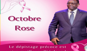 ROSE Jallale.net L'actualité en direct, où que vous soyez